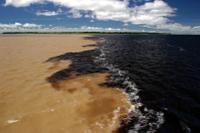 Meeting Waters of Amazonas and Rio Negro